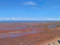 67045PaCrLe - The mud flats at Evangeline Beach at low tide, Grand Pré, NS.jpg